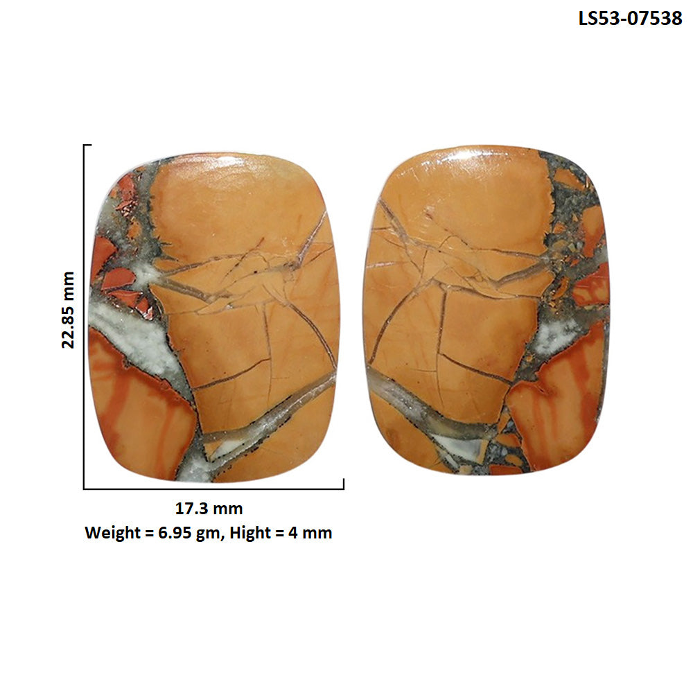 Maligano Jasper Pair 17.3x22.85x4 mm Cushion Shape Polished Gemstone LS53-07538