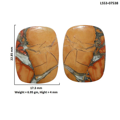 Maligano Jasper Pair 17.3x22.85x4 mm Cushion Shape Polished Gemstone LS53-07538