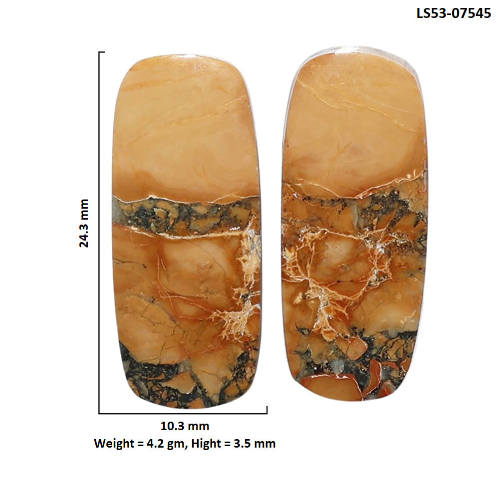 Maligano Jasper Pair 10.3x24.3x3.5 mm Cushion Shape Polished Gemstone LS53-07545