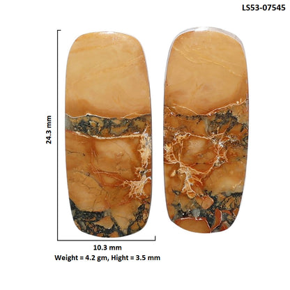 Maligano Jasper Pair 10.3x24.3x3.5 mm Cushion Shape Polished Gemstone LS53-07545