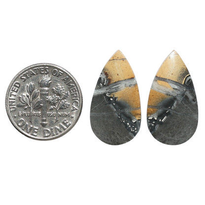 Maligano Jasper Pair 11.8x21.9x3.7 mm Pear Shape Polished Gemstone LS53-07550