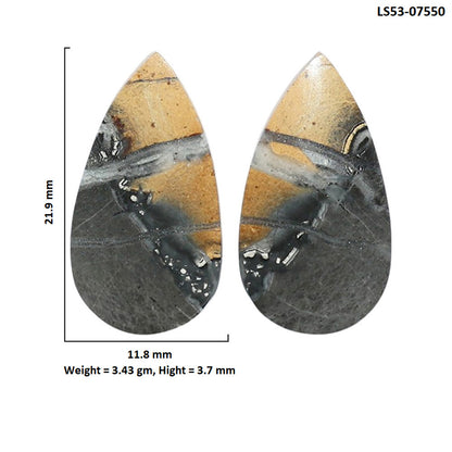 Maligano Jasper Pair 11.8x21.9x3.7 mm Pear Shape Polished Gemstone LS53-07550