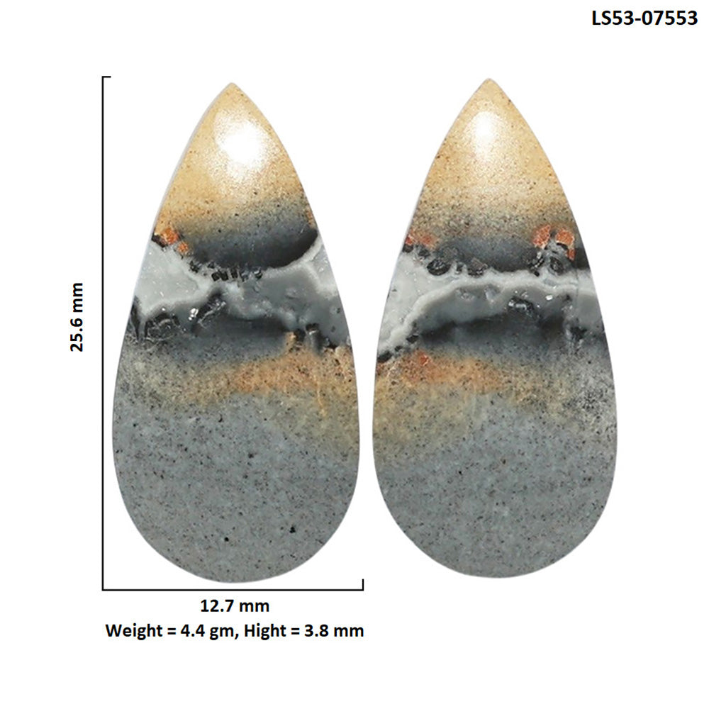 Maligano Jasper Pair 12.7x25.6x3.8 mm Pear Shape Polished Gemstone LS53-07553