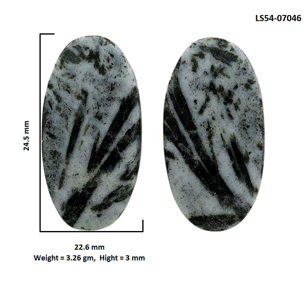 Hornblende Pair 22.6x24.5x3 mm Oval Shape Polished Gemstone LS54-07046