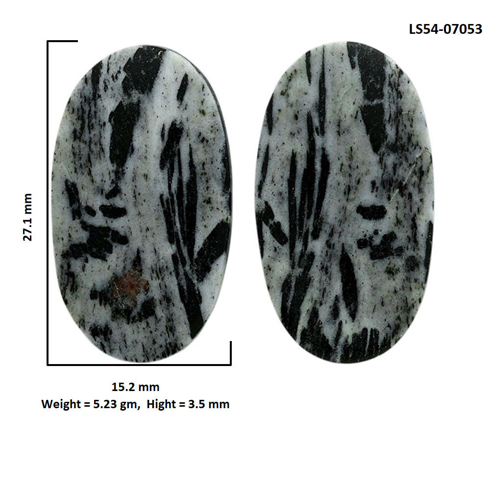 Hornblende Pair 15.2x27.1x3.5 mm Oval Shape Polished Gemstone LS54-07053