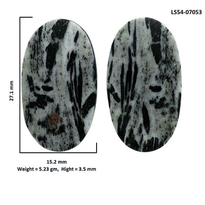Hornblende Pair 15.2x27.1x3.5 mm Oval Shape Polished Gemstone LS54-07053