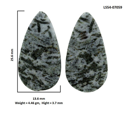 Hornblende Pair 13.6x25.6x3.7 mm Pear Shape Polished Gemstone LS54-07059