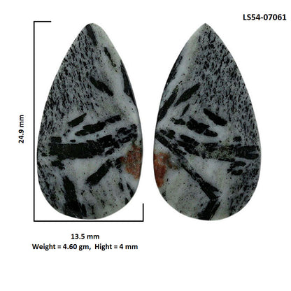 Hornblende Pair 13.5x24.9x4 mm Pear Shape Polished Gemstone LS54-07061