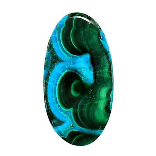Azurite Malachite 4.2x27x5 mm Oval Shape Polished Gemstone LS63-05624