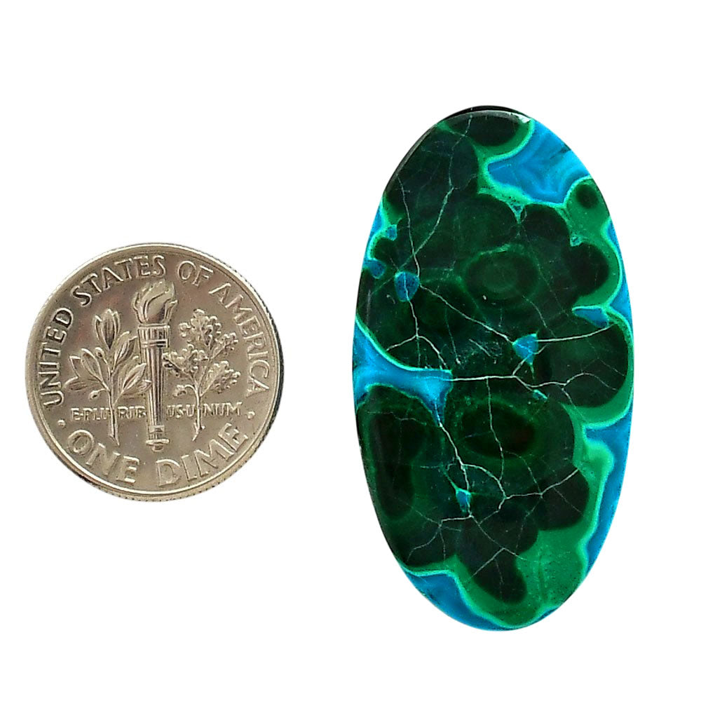 Azurite Malachite 19.3x35.9x5 mm Oval Shape Polished Gemstone LS63-05628
