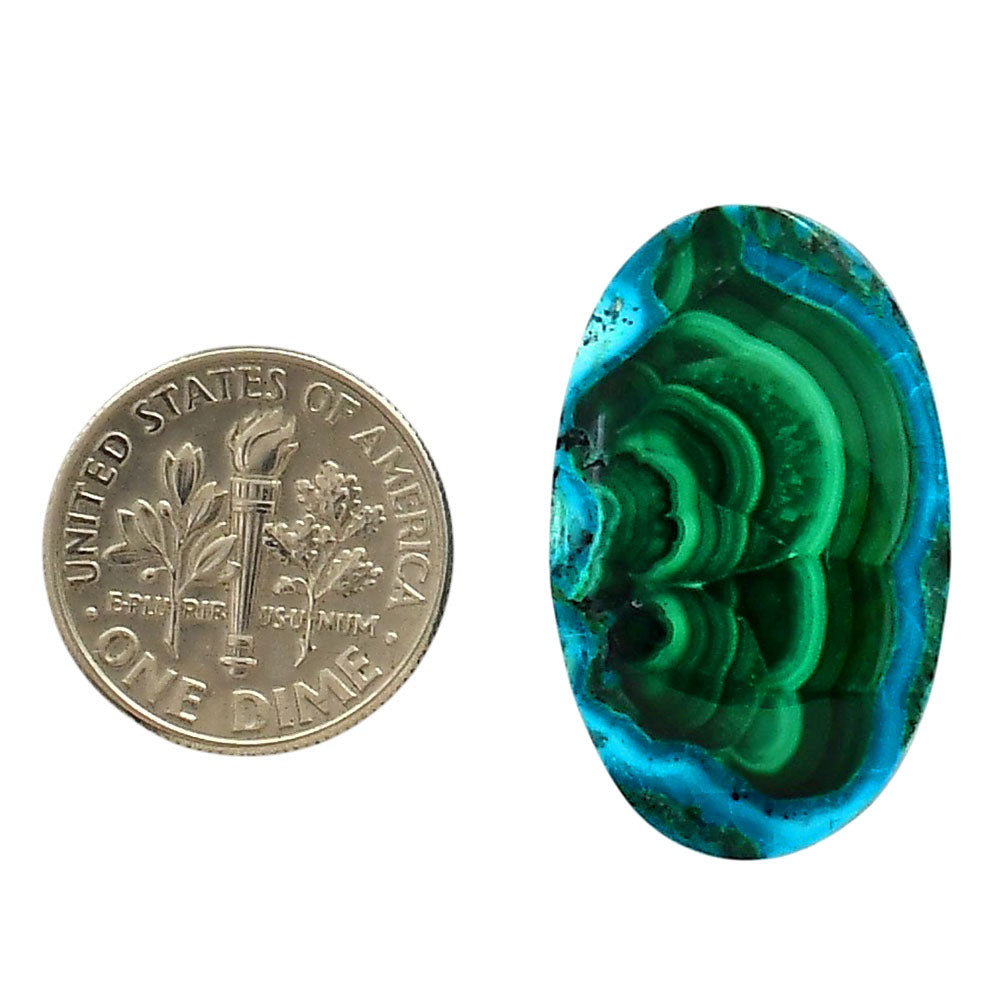 Azurite Malachite 17.3x28.25x4.5 mm Oval Shape Polished Gemstone LS63-05637