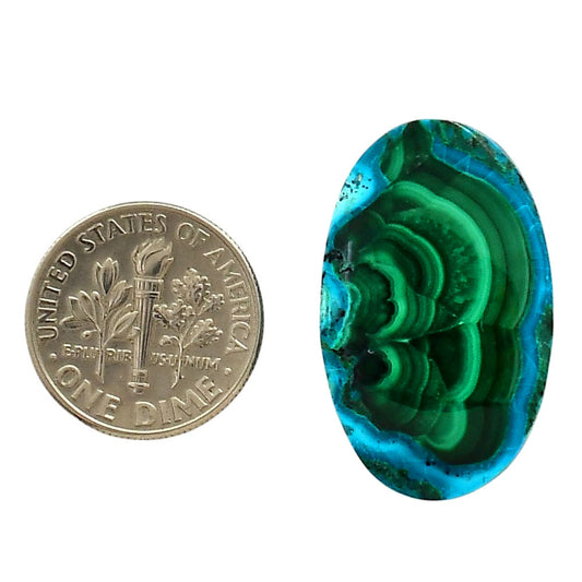 Azurite Malachite 17.3x28.25x4.5 mm Oval Shape Polished Gemstone LS63-05637