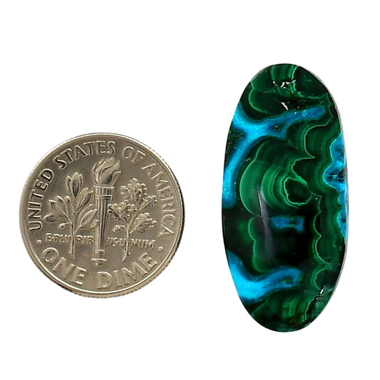 Azurite Malachite 13.5x28.7x5.2 mm Oval Shape Polished Gemstone LS63-05639