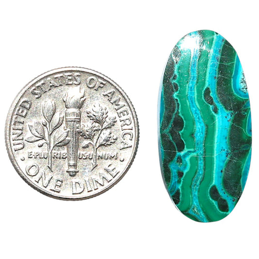 Azurite Malachite 12.2x25.35x3.6 mm Oval Shape Polished Gemstone LS63-08912