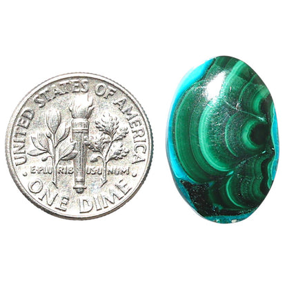 Azurite Malachite 13.6x20.1x4.8 mm Oval Shape Polished Gemstone LS63-08918