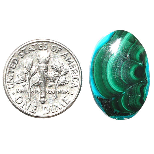 Azurite Malachite 13.6x20.1x4.8 mm Oval Shape Polished Gemstone LS63-08918