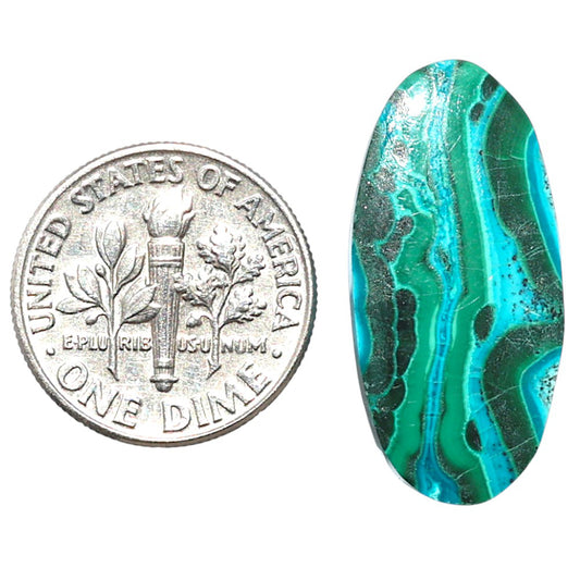 Azurite Malachite 12.5x25.9x3.7 mm Oval Shape Polished Gemstone LS63-08922