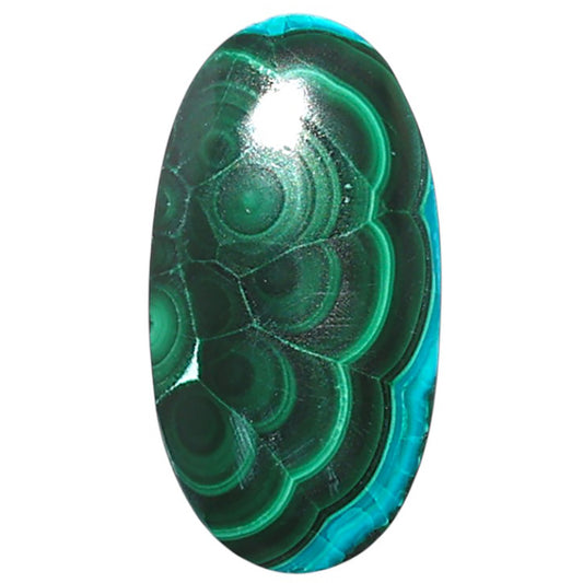 Azurite Malachite 12.3x23.5x5 mm Oval Shape Polished Gemstone LS63-08925