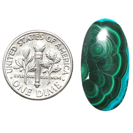 Azurite Malachite 12.3x23.5x5 mm Oval Shape Polished Gemstone LS63-08925