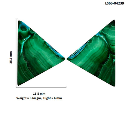 Malachite Eye Pair 18.5x25.5x4 mm Fancy Shape Polished Gemstone LS65-04239