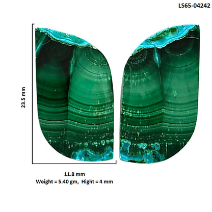 Malachite Eye Pair 11.8x23.5x4 mm Fancy Shape Polished Gemstone LS65-04242