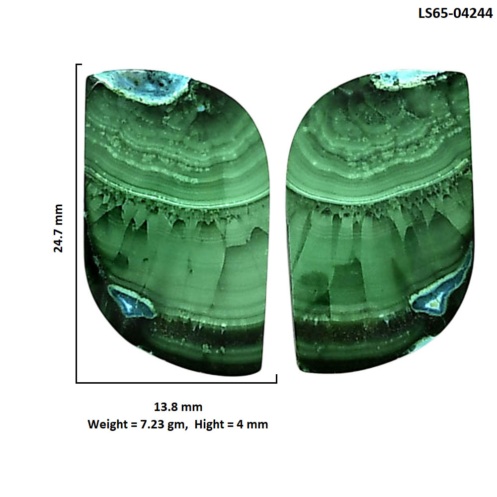 Malachite Eye Pair 13.8x24.7x4 mm Fancy Shape Polished Gemstone LS65-04244