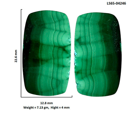 Malachite Eye Pair 12.8x22.6x4 mm Cushion Shape Polished Gemstone LS65-04246