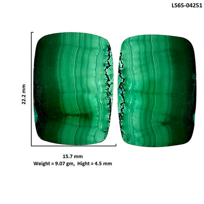 Malachite Eye Pair 15.7x22.2x4.5 mm Cushion Shape Polished Gemstone LS65-04251