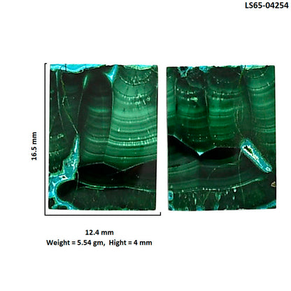 Malachite Eye Pair 12.4x16.5x4 mm Baguette Shape Polished Gemstone LS65-04254