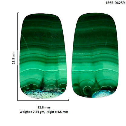 Malachite Eye Pair 12.8x22.8x4.5 mm Fancy Shape Polished Gemstone LS65-04259
