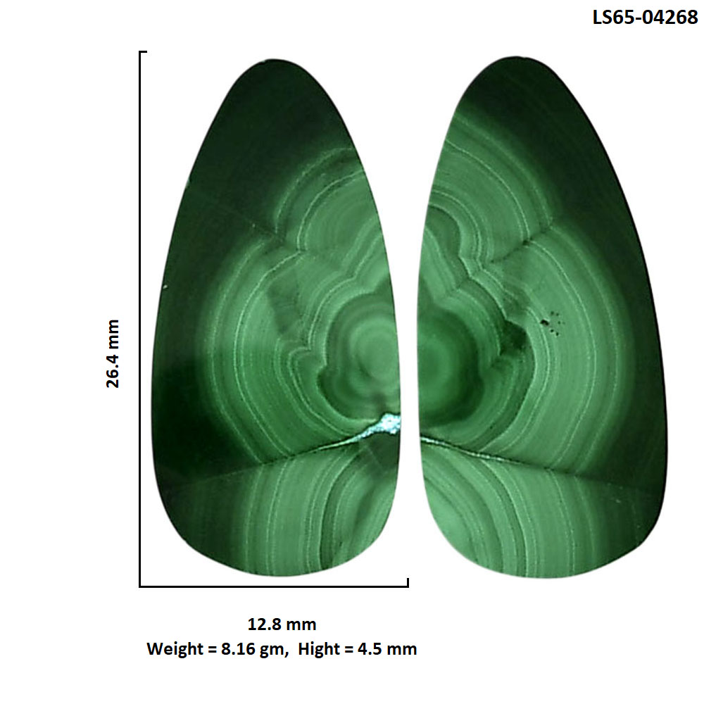 Malachite Eye Pair 12.8x26.4x4.5 mm Fancy Shape Polished Gemstone LS65-04268