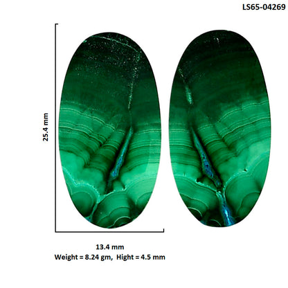 Malachite Eye Pair 13.4x25.4x4.5 mm Oval Shape Polished Gemstone LS65-04269