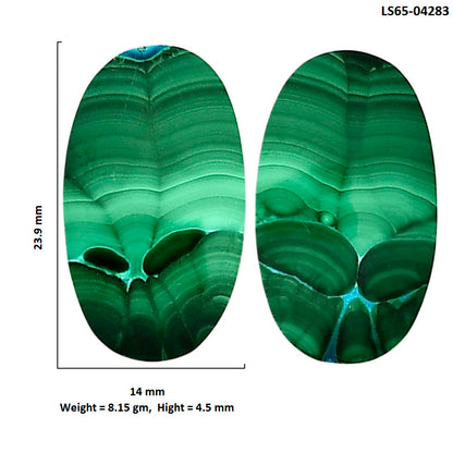 Malachite Eye Pair 14x23.9x4.5 mm Oval Shape Polished Gemstone LS65-04283