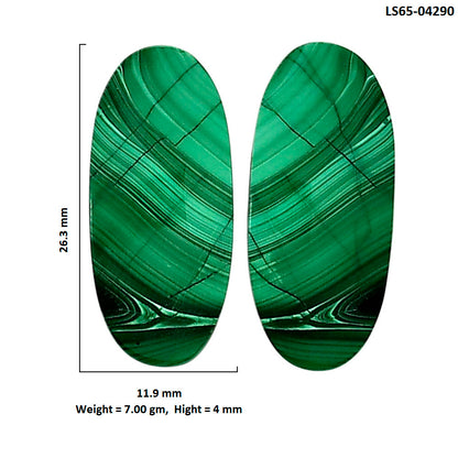 Malachite Eye Pair 11.9x26.3x4 mm Oval Shape Polished Gemstone LS65-04290