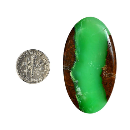 Boulder Chrysoprase 28x50x5.5 mm Oval Shape Polished Gemstone LS67-06314