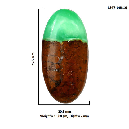 Boulder Chrysoprase 20.3x40.6x7 mm Oval Shape Polished Gemstone LS67-06319