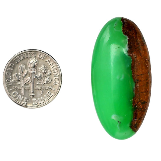 Boulder Chrysoprase 18x37x7 mm Oval Shape Polished Gemstone LS67-06324