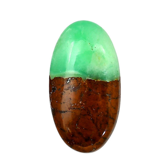 Boulder Chrysoprase 18.2x33.7x6.5 mm Oval Shape Polished Gemstone LS67-06325