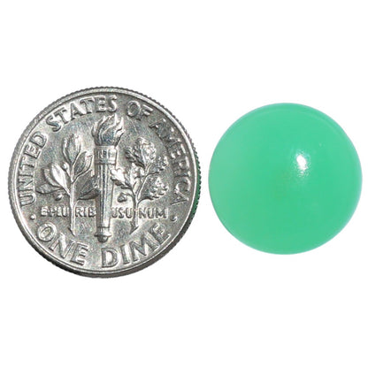 Chrysoprase 14x14x5.5 mm Round Shape Polished Gemstone LS67-07303