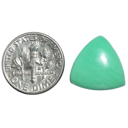 Chrysoprase 15.5x15.5x5.5 mm Fancy Shape Polished Gemstone LS67-07310