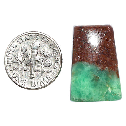 Natural Boulder Chrysoprase 15.6x23.5x7 mm Fancy Shape Polished Gemstone LS67-09227
