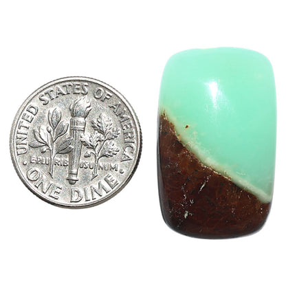 Natural Boulder Chrysoprase 16x25.8x6.7 mm Cushion Shape Polished Gemstone LS67-09228