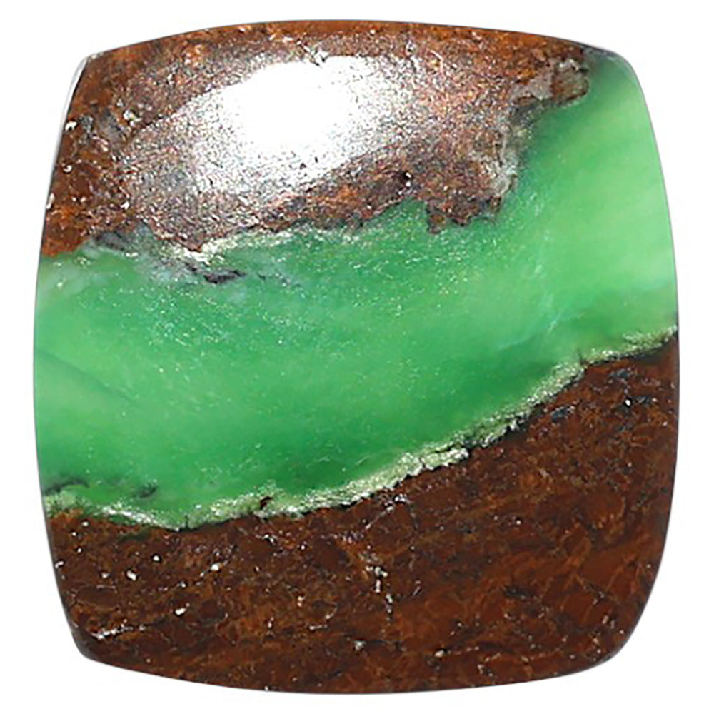 Natural Boulder Chrysoprase 19x20x4 mm Cushion Shape Polished Gemstone LS67-09234