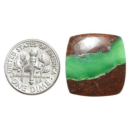 Natural Boulder Chrysoprase 19x20x4 mm Cushion Shape Polished Gemstone LS67-09234