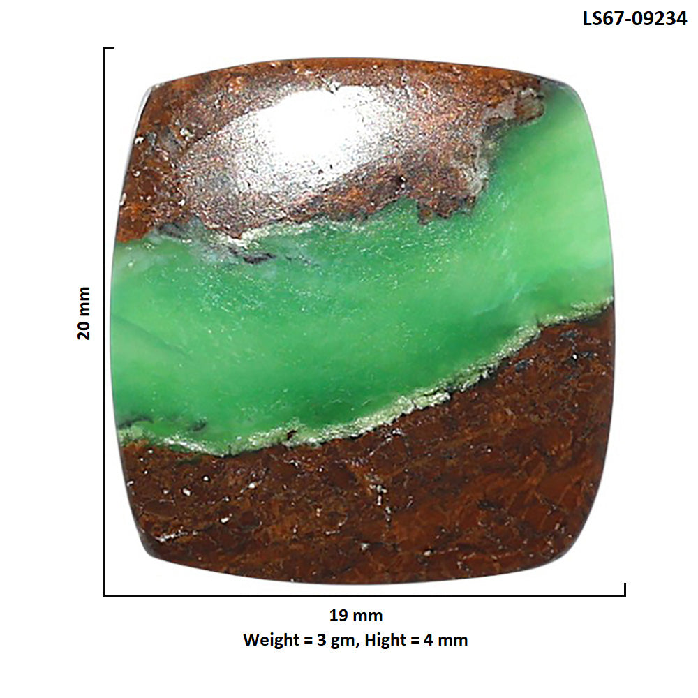 Natural Boulder Chrysoprase 19x20x4 mm Cushion Shape Polished Gemstone LS67-09234