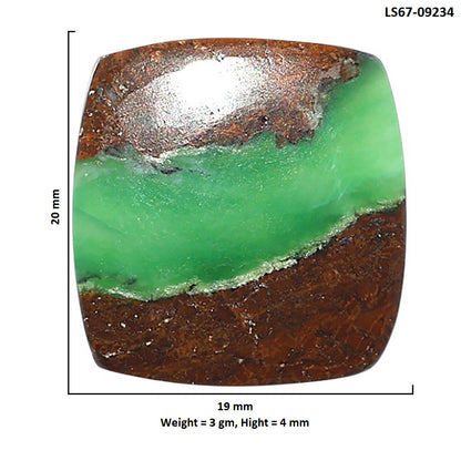 Natural Boulder Chrysoprase 19x20x4 mm Cushion Shape Polished Gemstone LS67-09234