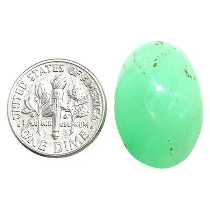 Natural Boulder Chrysoprase 15.6x22.45x7.5 mm Oval Shape Polished Gemstone LS67-09244