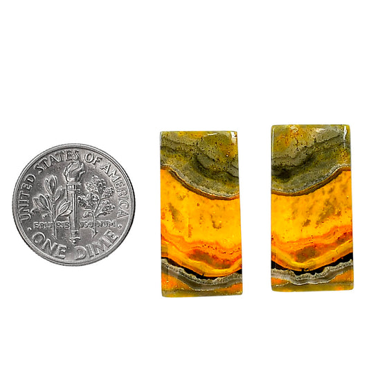 Indonesian Bumble Bee Pair 12.5x26.6x3.5 mm Baguette Shape Polished Gemstone LS69-04088