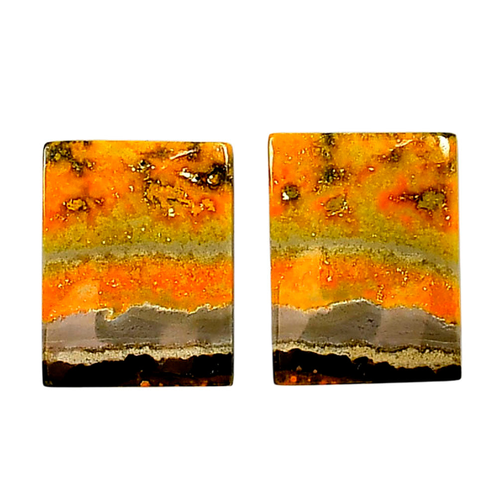 Indonesian Bumble Bee Pair 14x18.3x3.5 mm Baguette Shape Polished Gemstone LS69-04090