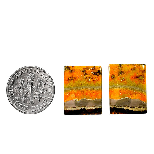 Indonesian Bumble Bee Pair 14x18.3x3.5 mm Baguette Shape Polished Gemstone LS69-04090